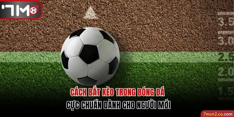 Cách Bắt Kèo Trong Bóng Đá Chuẩn Dành Cho Người Mới